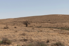 04-אלה-אטלנטית