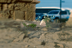 Upscaled with Gigapixel v1.3.6. 1990x1637 => 6000x4936 (3.01508x) Model: Standard V2, denoise: 0.63, sharpen: 0.64, decompression: 0.44