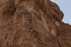 05-Saharonim-Makhtesh-Ramon