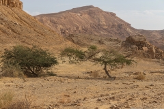 06-Saharonim-Makhtesh-Ramon