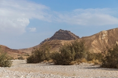 08-Saharonim-Makhtesh-Ramon