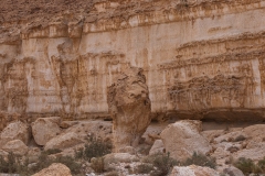 10-Saharonim-Makhtesh-Ramon