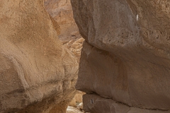 11-Saharonim-Makhtesh-Ramon