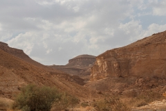 15-Saharonim-Makhtesh-Ramon