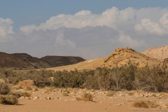 19-Saharonim-Makhtesh-Ramon