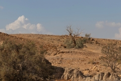 20-Saharonim-Makhtesh-Ramon