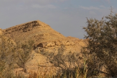22-Saharonim-Makhtesh-Ramon