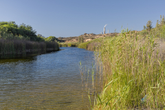 02-Shikma-Stream-and-Zikim-Beach