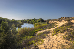 03-Shikma-Stream-and-Zikim-Beach