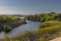 04-Shikma-Stream-and-Zikim-Beach