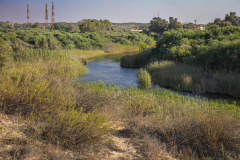 05-Shikma-Stream-and-Zikim-Beach