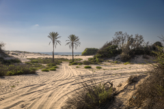 06-Shikma-Stream-and-Zikim-Beach