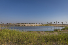 08-Shikma-Stream-and-Zikim-Beach