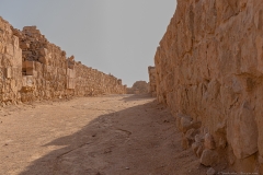 01-Shivta-Jan-2022
