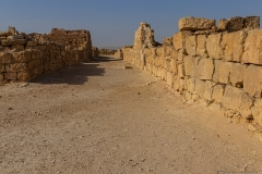07-Shivta-Jan-2022