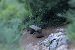 02-Suster-Path-May-2020