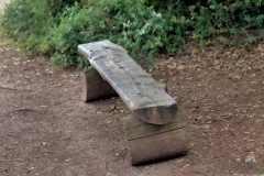 03-Suster-Path-May-2020