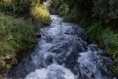 01-Tel-Dan-31-07-2026
