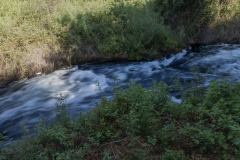 04-Tel-Dan-31-07-2026