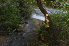 06-Tel-Dan-31-07-2026