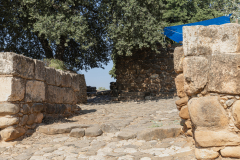 08-Tel-Dan-31-07-2026