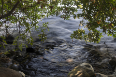 10-Tel-Dan-31-07-2026
