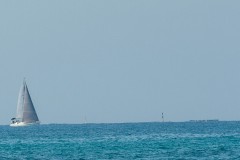 1000D_Landscape0069