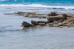1000D_Landscape0082