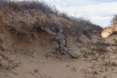 80D_Landscape0004