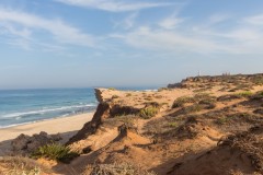 80D_Landscape0007