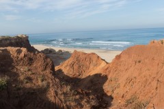 80D_Landscape0009