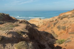 80D_Landscape0010