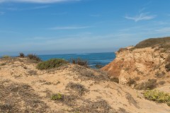 80D_Landscape0024