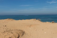 80D_Landscape0027