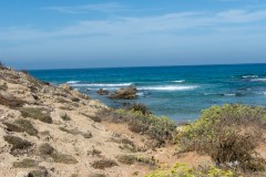 80D_Landscape0049