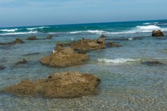 80D_Landscape0056