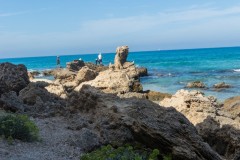 80D_Landscape0059