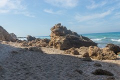 80D_Landscape0072