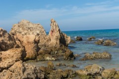 80D_Landscape0078