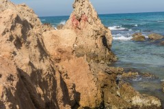 80D_Landscape0079-2