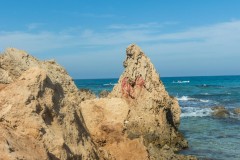 80D_Landscape0081