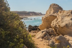 80D_Landscape0082
