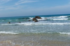 80D_Landscape0093