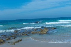 80D_Landscape0098