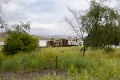 24-Golan-Hights-Round-Trip-March-2025