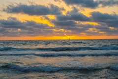 02-שקיעתה-של-אלימות-סעידנא-עלי-הרצליה