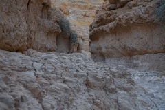 02-Wadi-Og-Square-Landscape