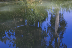 04-Yarkon-River-Source-National-Park